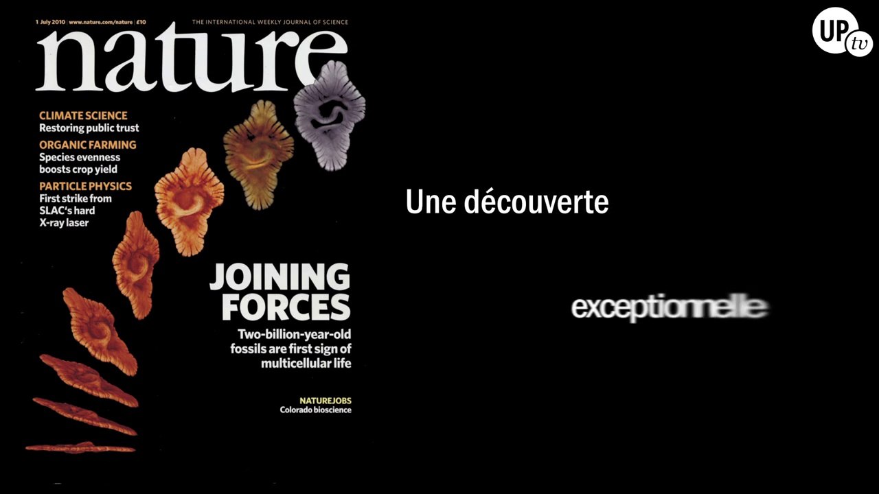 Bande annonce du film documentaire "A la recherche des origines... Deux milliards d'années au Gabon".