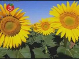 Allaha inanmayan birisine Allahı nasıl anlatmalıyız?