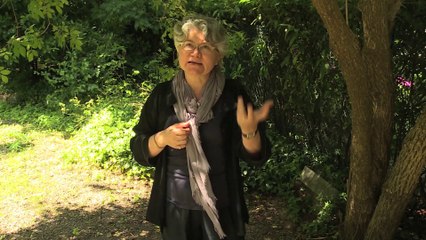 Dominique Méda - 2 #NVE