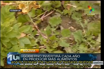 Bolivian specialists charge agro-industry endangers food sovereignity