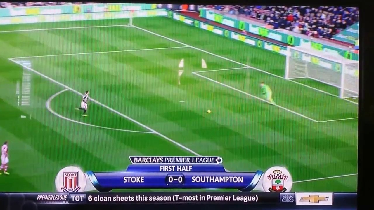 Gol do goleiro Asmir Begovic