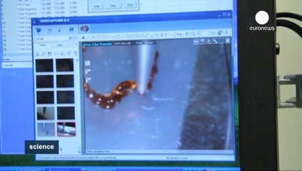 Bilim insanları 3-D baskı teknolojisi ile organ naklindeki sorunlara çözüm arıyor