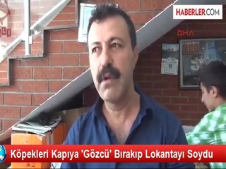 Köpeği Gözcü Bıraktı, Hırsızlık Yaptı