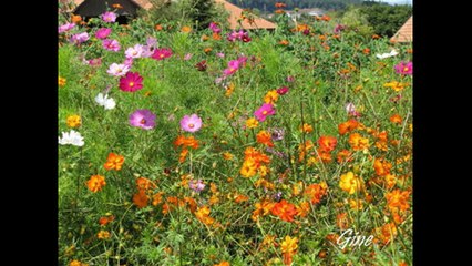 Reconnaissance parcours salon des loisirs