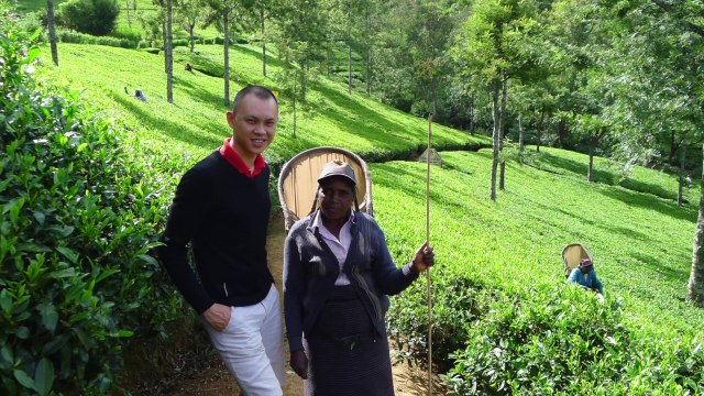 Sri Lanka Nuwara Eliya Ella