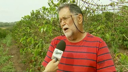 estiagem campos gerais