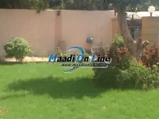 administrative office Building for rent in maadi