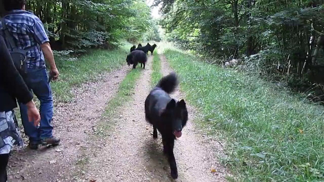 2 septembre 2014 (3) : balade avec Fyll et Iako