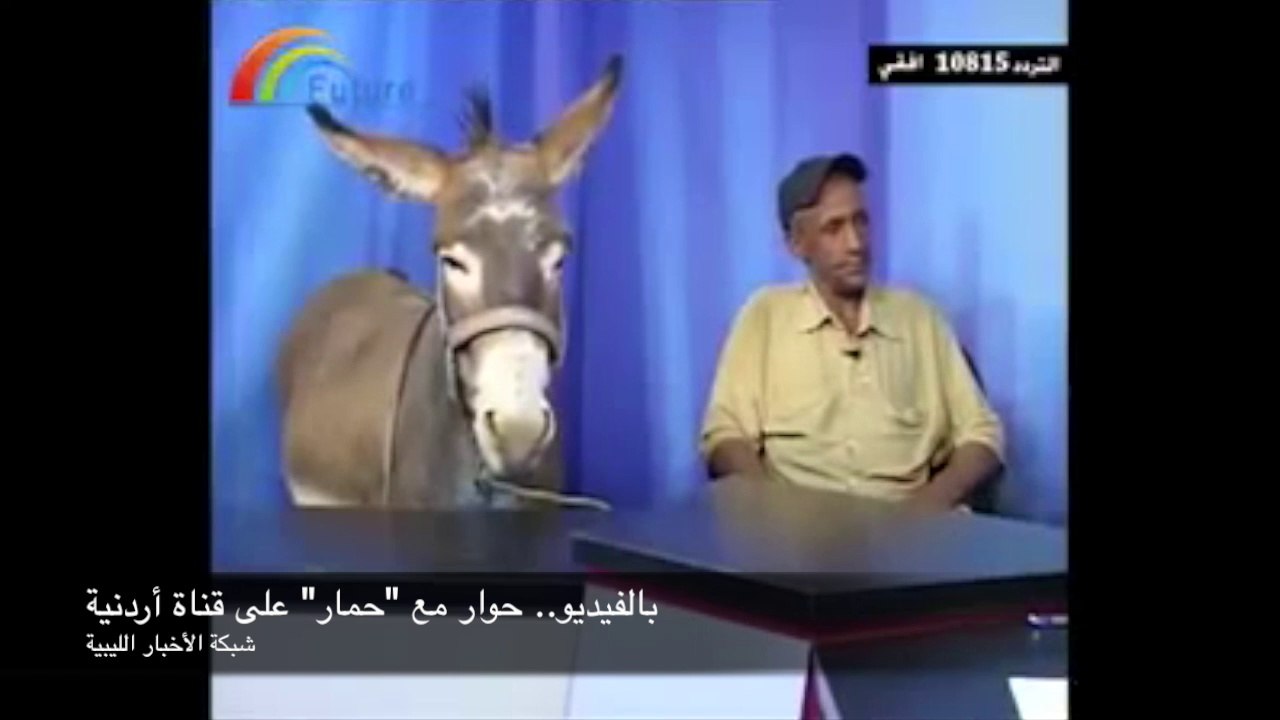 بالفيديو.. حوار مع حمار على قناة أردنية