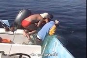 Ils sauvent une baleine coincée dans un filet de pêche
