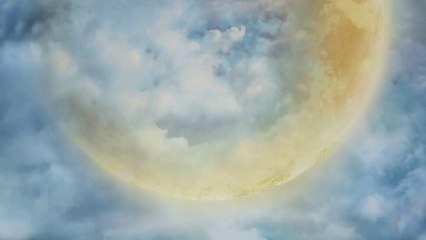 Bayonetta 2 - First Print Edition (Wii U)