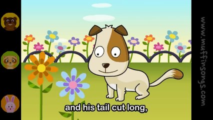 Oh! Where Has My Little Dog Gone_ _ nursery rhymes & children songs with lyrics