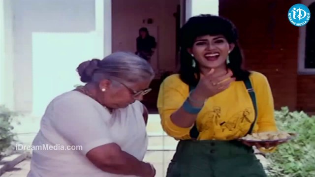 Doctor Bhavani Movie - kinnera, Brahmaji, Bhanu Chander Fight Scene