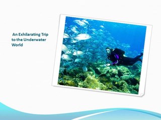 Thrilling Adventure Experience in Turkey