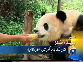 Geo Headlines-05 Sep 2014-0800