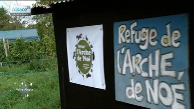 Votre Alsace, avec Delphine Wespiser : épisode 23