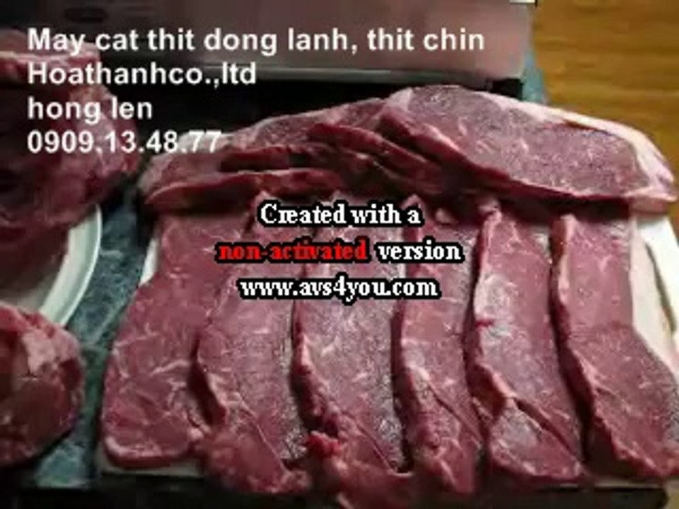 Máy cắt lát thịt chín, máy cắt chả lụa, máy thái thịt nguội, máy cắt thịt chín  điều chỉnh độ dày mỏng MS250ST