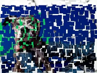 Less Known Practices of Generic Sealer Bags