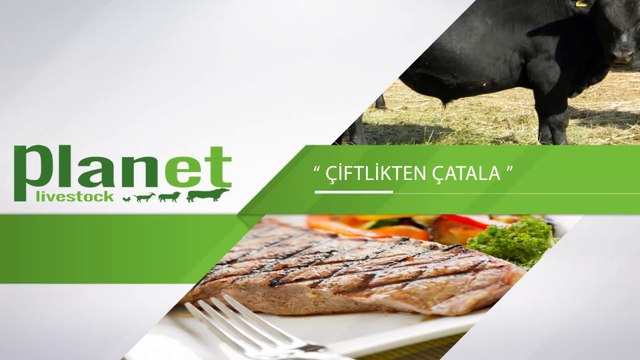 Planet Livestock Kurumsal Tanıtım Filmi TEASER