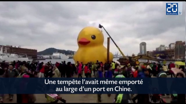 Un lapin blanc de 25 mètres à Taiwan