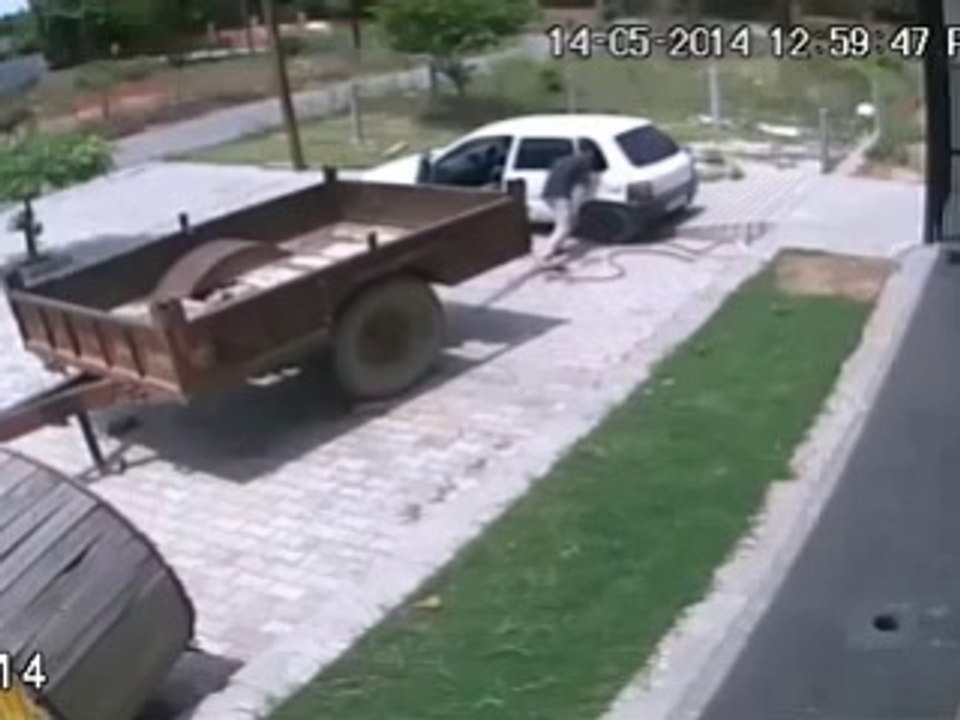 Crazy russian stealing a cow with a little car!