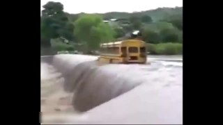 Un bus scolaire contre la nature