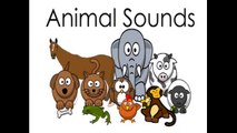 Animal Sounds-Names for Children Toddlers Kids Kindergarten Preschool Babies Animals Sound Effects