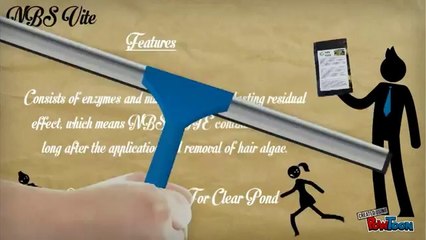 NBS VITE - Pond Algae Remover