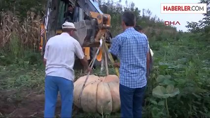 450 Kiloluk Balkabağı Yetiştirdi