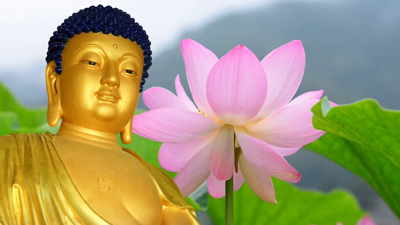 Namo Amitabha Buddha - Nam Mo A Di Da Phat - Vi...