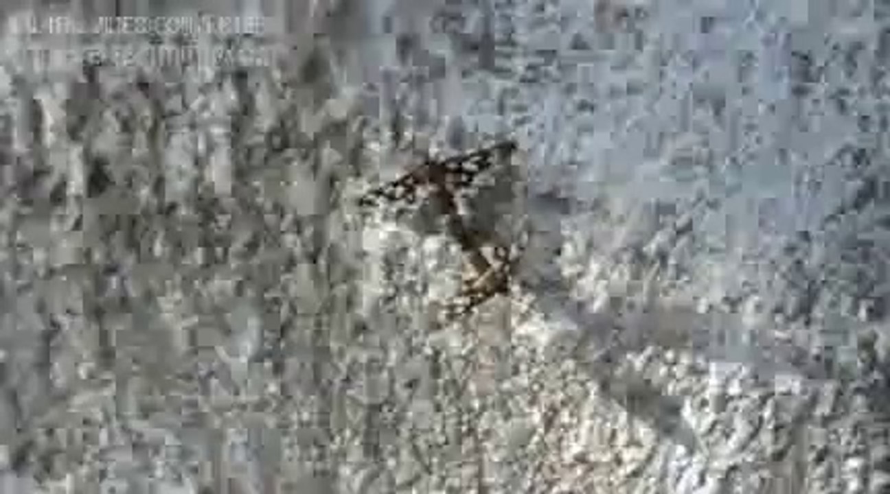 fun videos