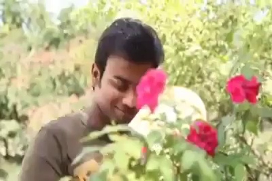 brother sister in shame full love - video Dailymotion