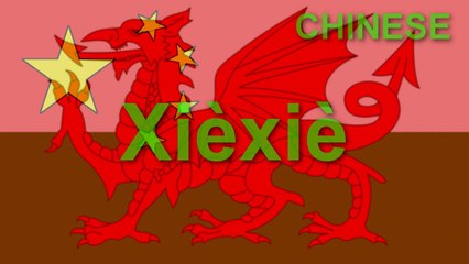 Say Thank you in 12 languages