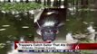 Gator Suspected Of Eating Dog Captured In Florida