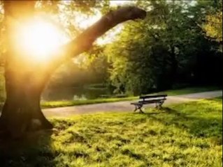 Zargay zama kandar kandar da hala kuur ta raza