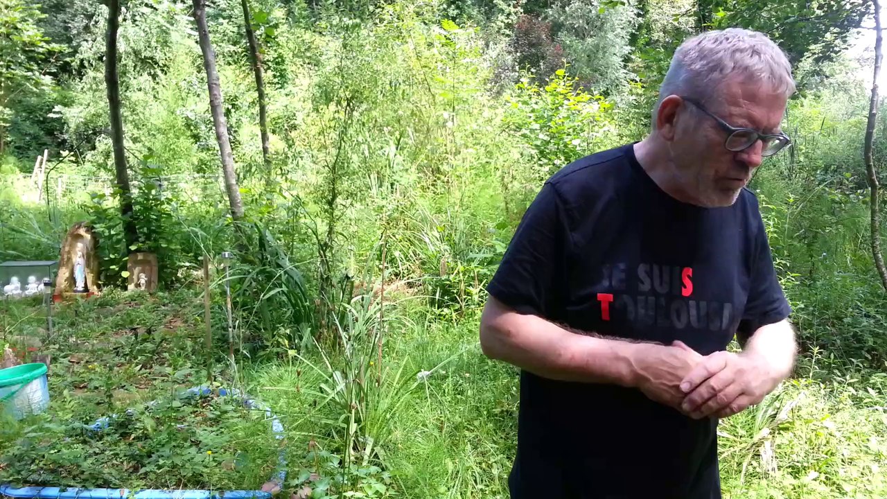 CO2 mon amour - Découverte des Pyrénées avec Dick Annegarn