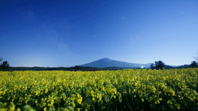 The Rain Stopped Falling, Then My Love Comes Down - Cookie and Choco - Piano HD 1080p