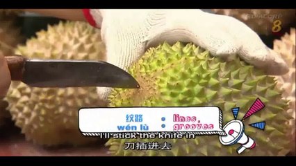 How to choose a good durian ?