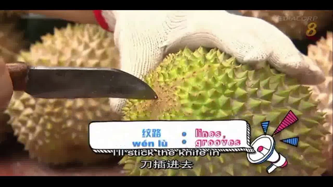 How to choose a good durian ?