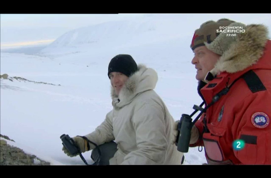 0904150656DVB-TLa2_11 Osos del Artico 3 de 7