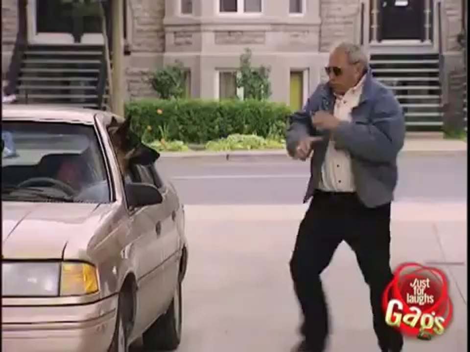 Angry Dog_Funny Sexy Cam Laugh Prank