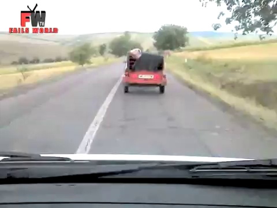 Dangerous Escape For This Pig - FAILS WORLD