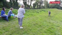 Douarnenez. Son chien est énorme mais il est trop peureux