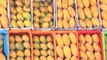Dunya News - Mango Diplomacy: Nawaz Sharif sends mangos to Indian counterpart
