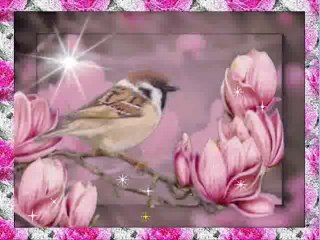 2 ème Version(MM 2.6)(images **Ode**)