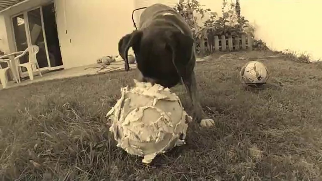 Destructeur de ballon!