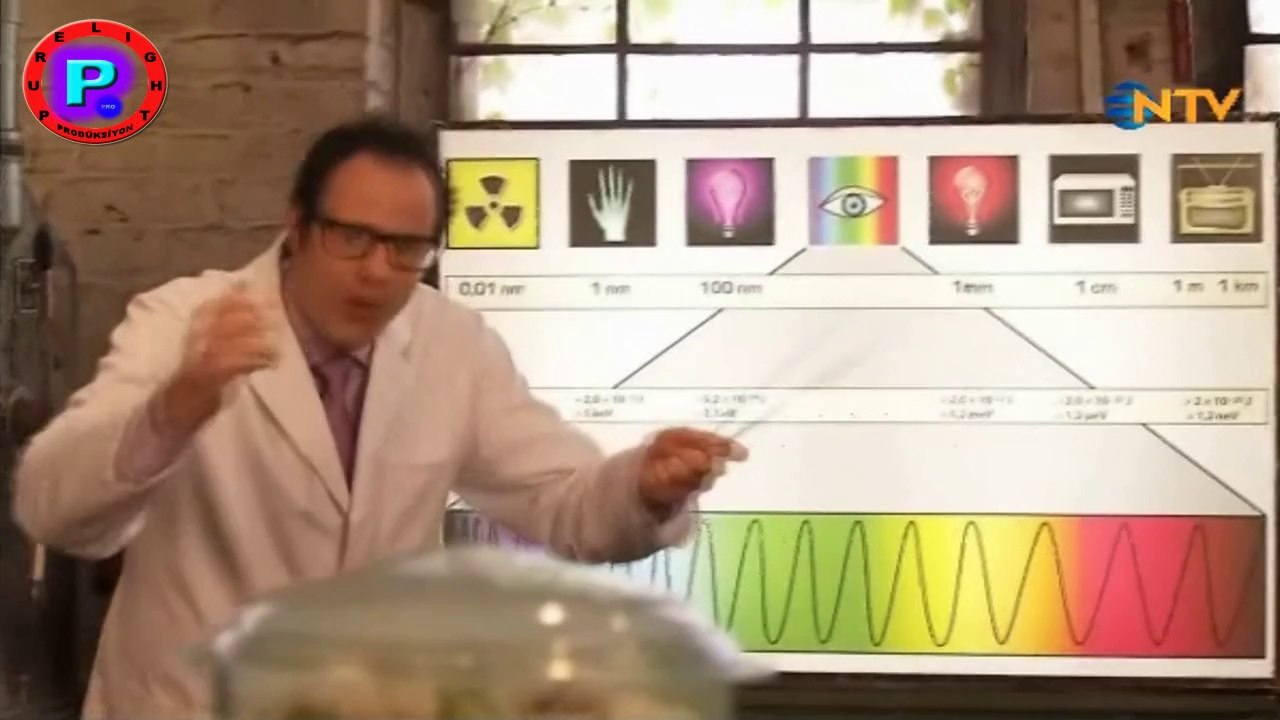 İki Dakikada Bilim - Mikrodalga Vitaminlere Zarar Verir Mi (6. Bölüm)