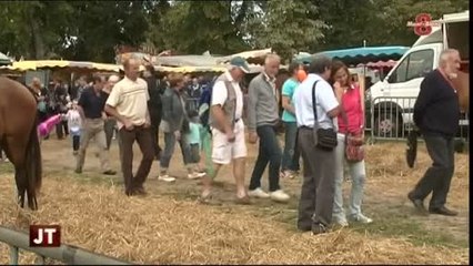 La traditionnelle Foire de Crête à Thonon-les-Bains