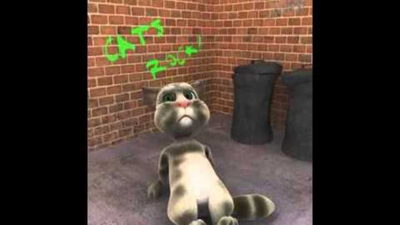 Talking Animals Episode 1