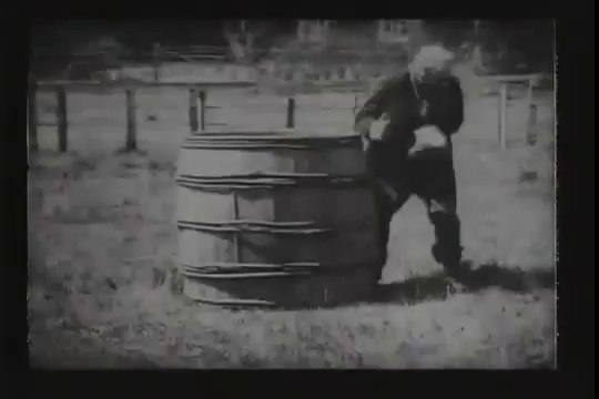 James Williamson - Stop Thief (1901)